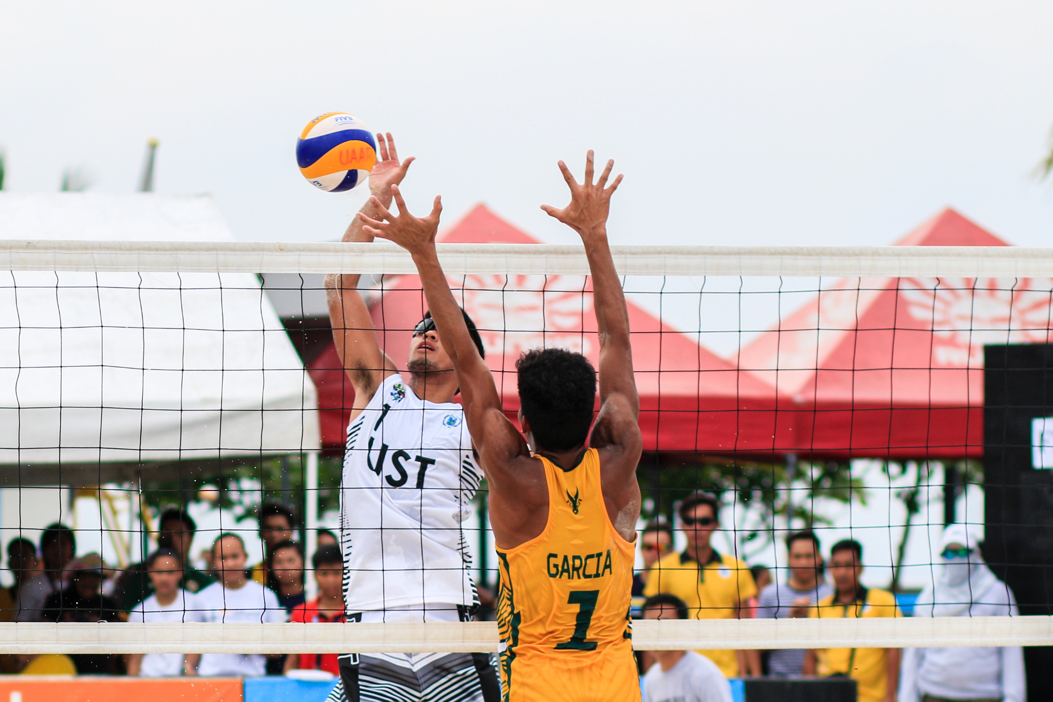 volleyball.jpg